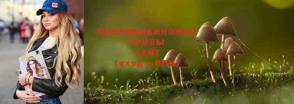 амф Инта
