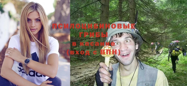 амф Инсар