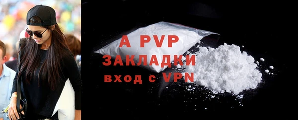 амф Инсар