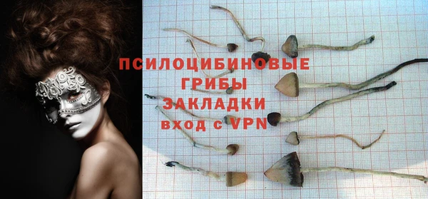 кокс Иннополис