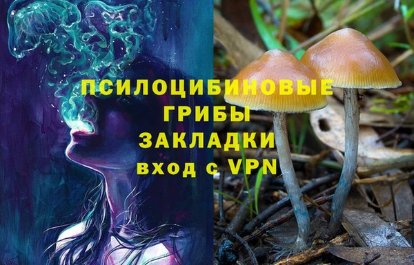 кокс Иннополис