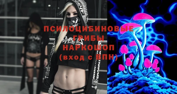 амф Инта