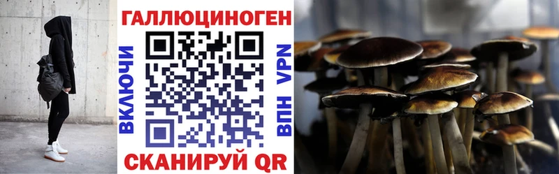 MEGA ONION как найти наркотики Кашира Псилоцибиновые грибы Cubensis